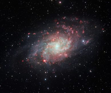 M33